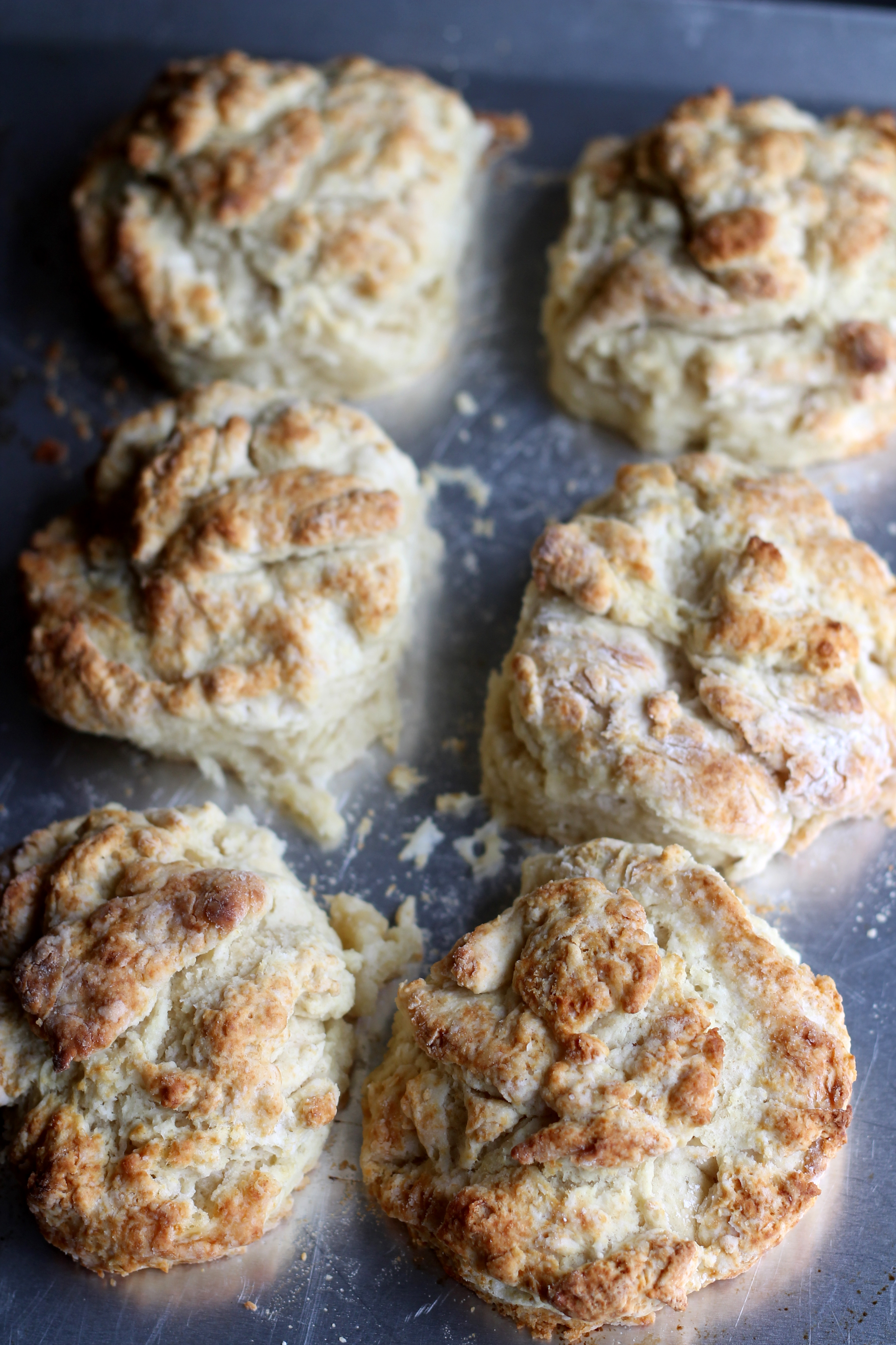 Better than your Grandma's biscuits - these make the perfect Southern breakfast