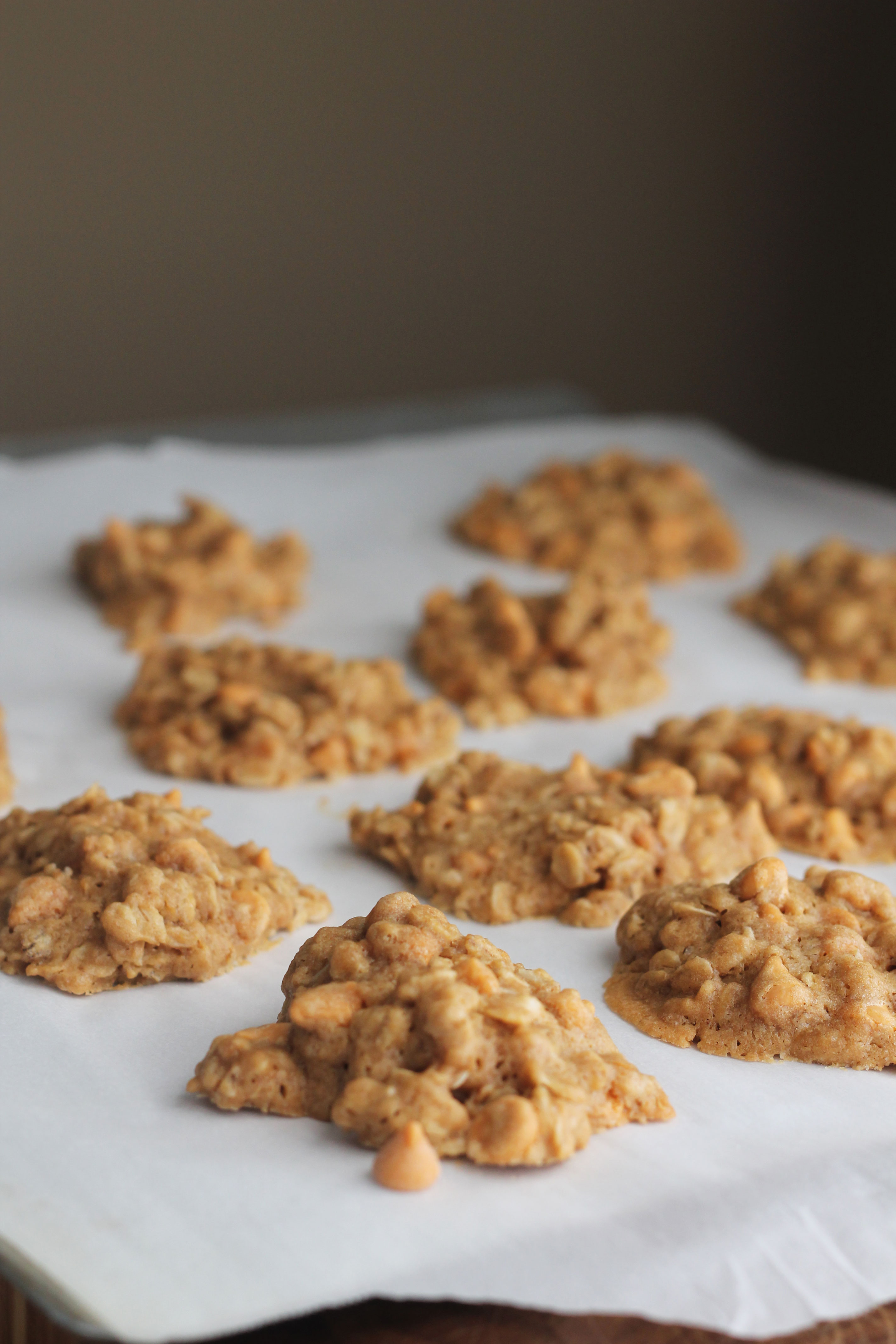 These are the best Butterscotch Oatmeal Cookies