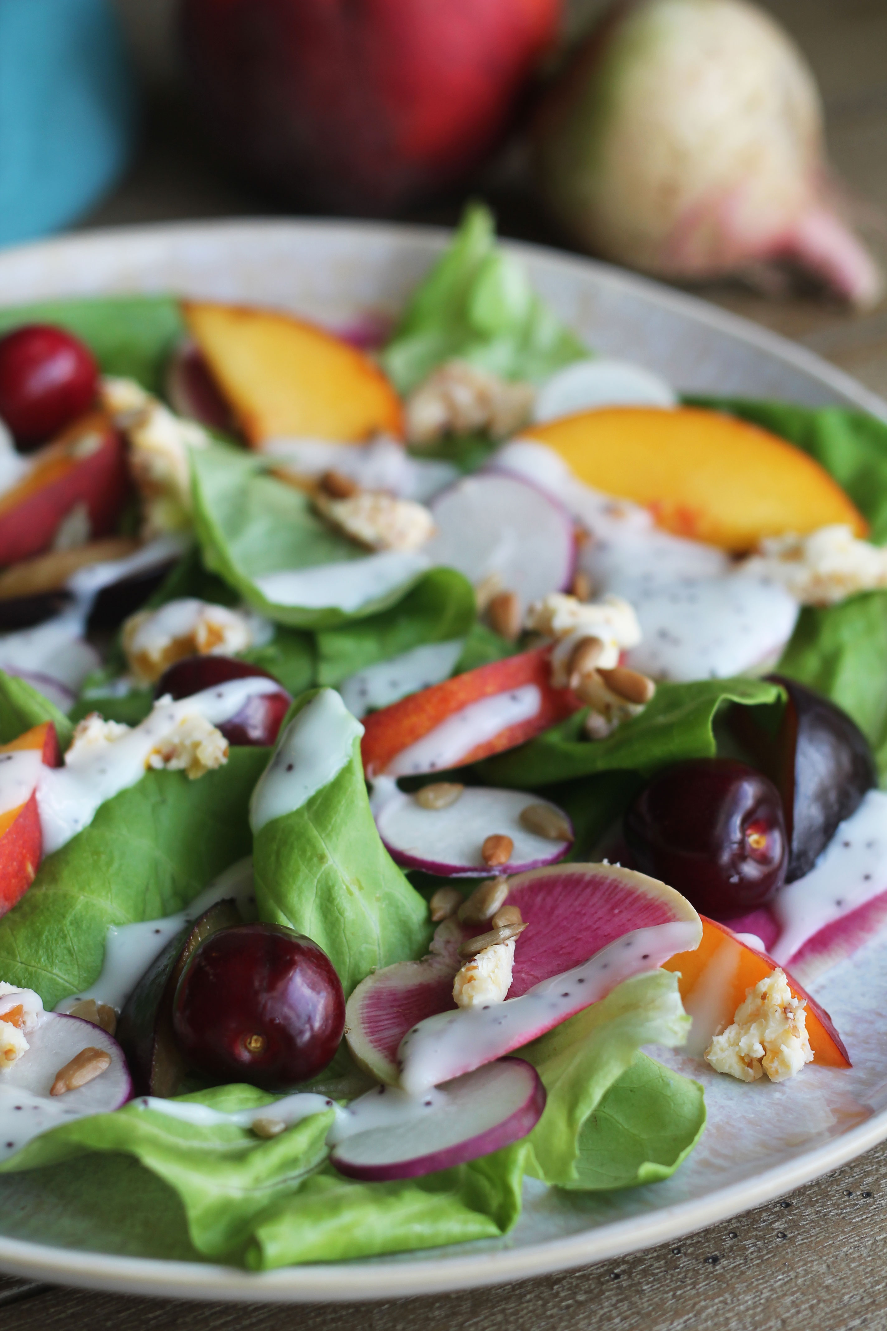 This summer salad combines all the sweet and tart stone fruits with some peppery radishes