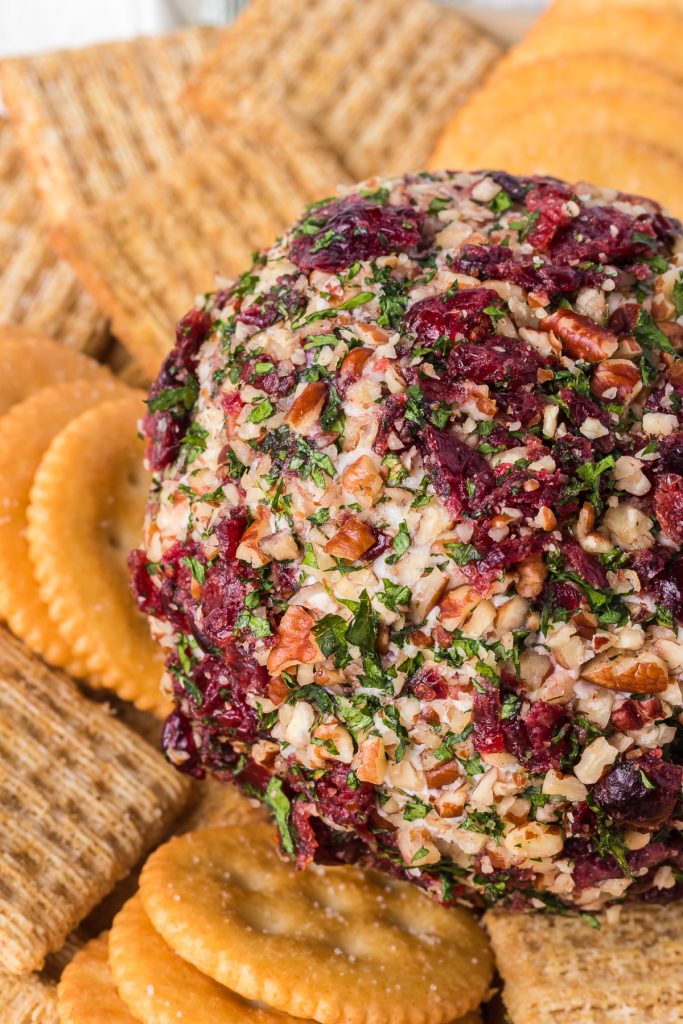 A ball of cheese with cranberries, and pecans.