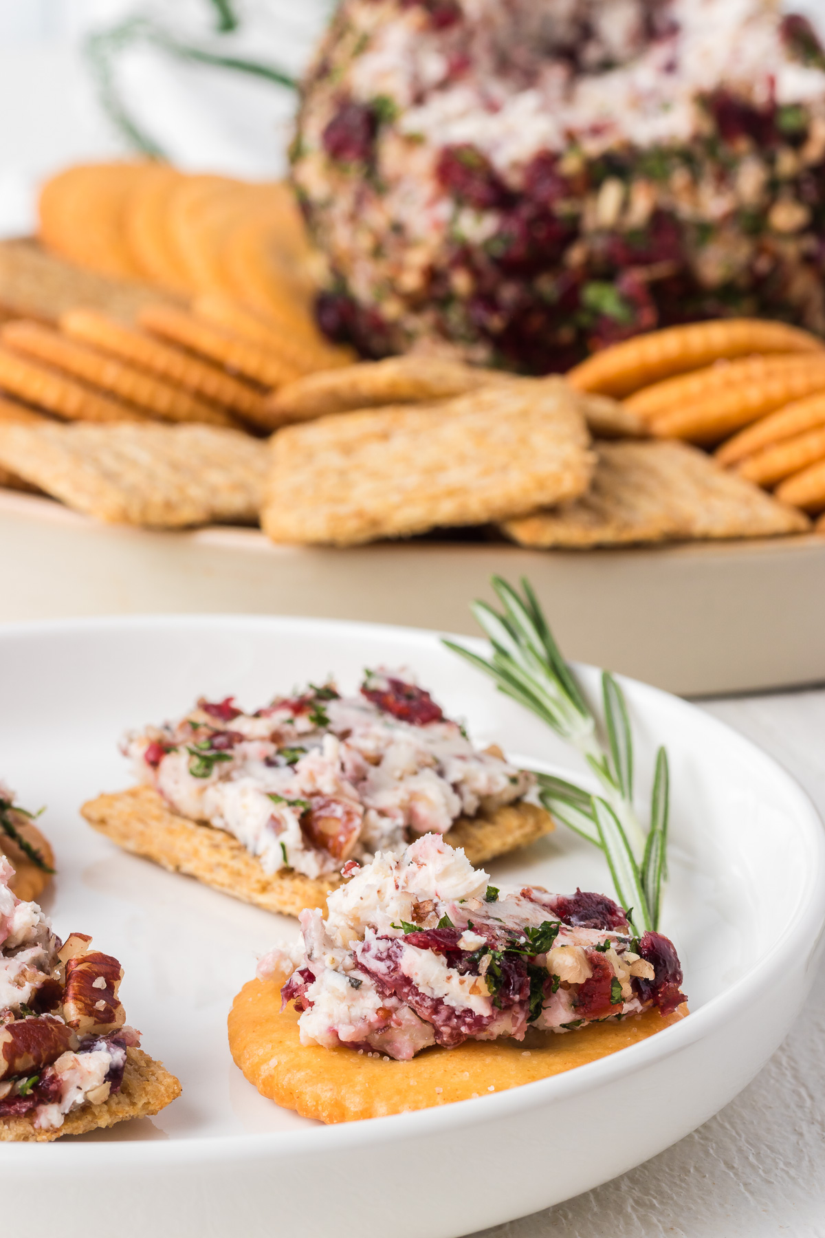 If you’re looking for an easy appetizer to serve when you’re entertaining this holiday season, try this traditional Holiday Cheese Ball! Two types of cheese are mixed with tangy dried cranberries, fragrant chopped rosemary, and pecan pieces, then rolled in even more cranberries, pecans and parsley for a colorful and festive starter. Serve it with your favorite crackers or veggies for a tasty snack your guests will return to again and again! via @foodhussy